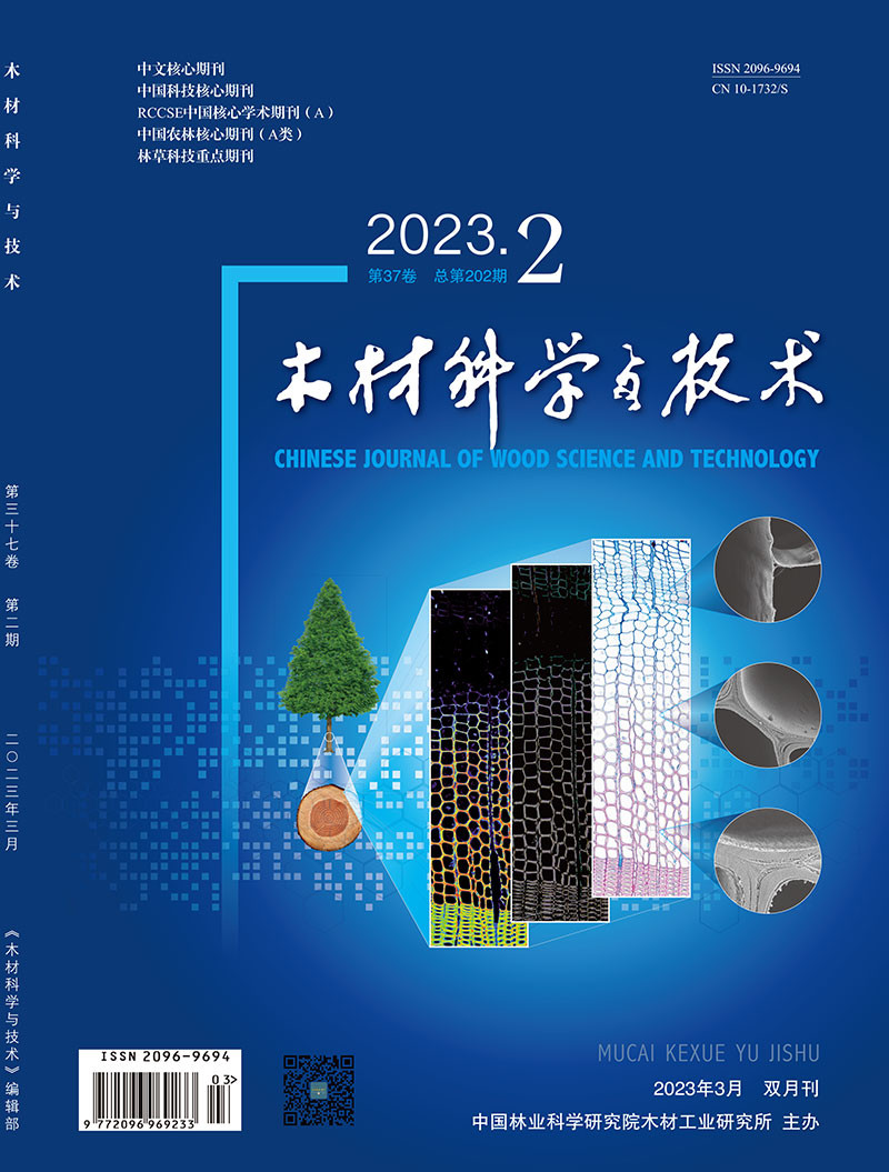《木材科学与技术》杂志2023全年12期
